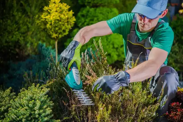 landscaping services Cassville